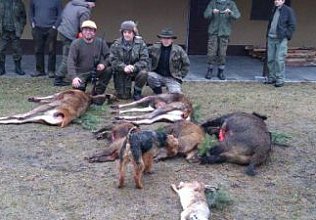 polowanie wigilijne 2014