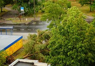 Osiedle Południe po nawałnicy (19.07.2015)
